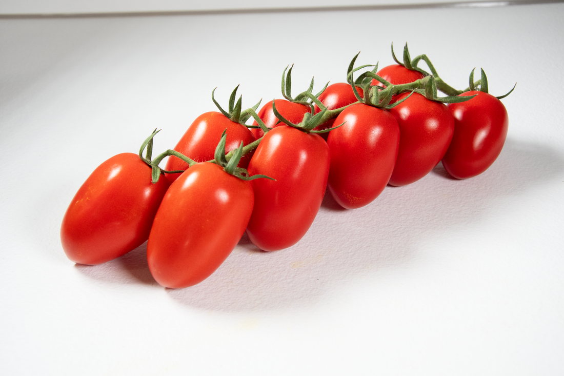 Grappolo di pomodori datterini maturi su fondo bianco